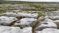 The Burren &ndash; &copy; Petra Sauer (Eberhardt TRAVEL)