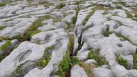 The Burren &ndash; &copy; Petra Sauer (Eberhardt TRAVEL)