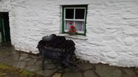 Muckross Farm &ndash; &copy; Petra Sauer (Eberhardt TRAVEL)