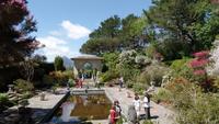 Insel Garinish &ndash; &copy; Petra Sauer (Eberhardt TRAVEL)