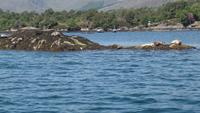 Fahrt zur Insel Garinish &ndash; &copy; Petra Sauer (Eberhardt TRAVEL)