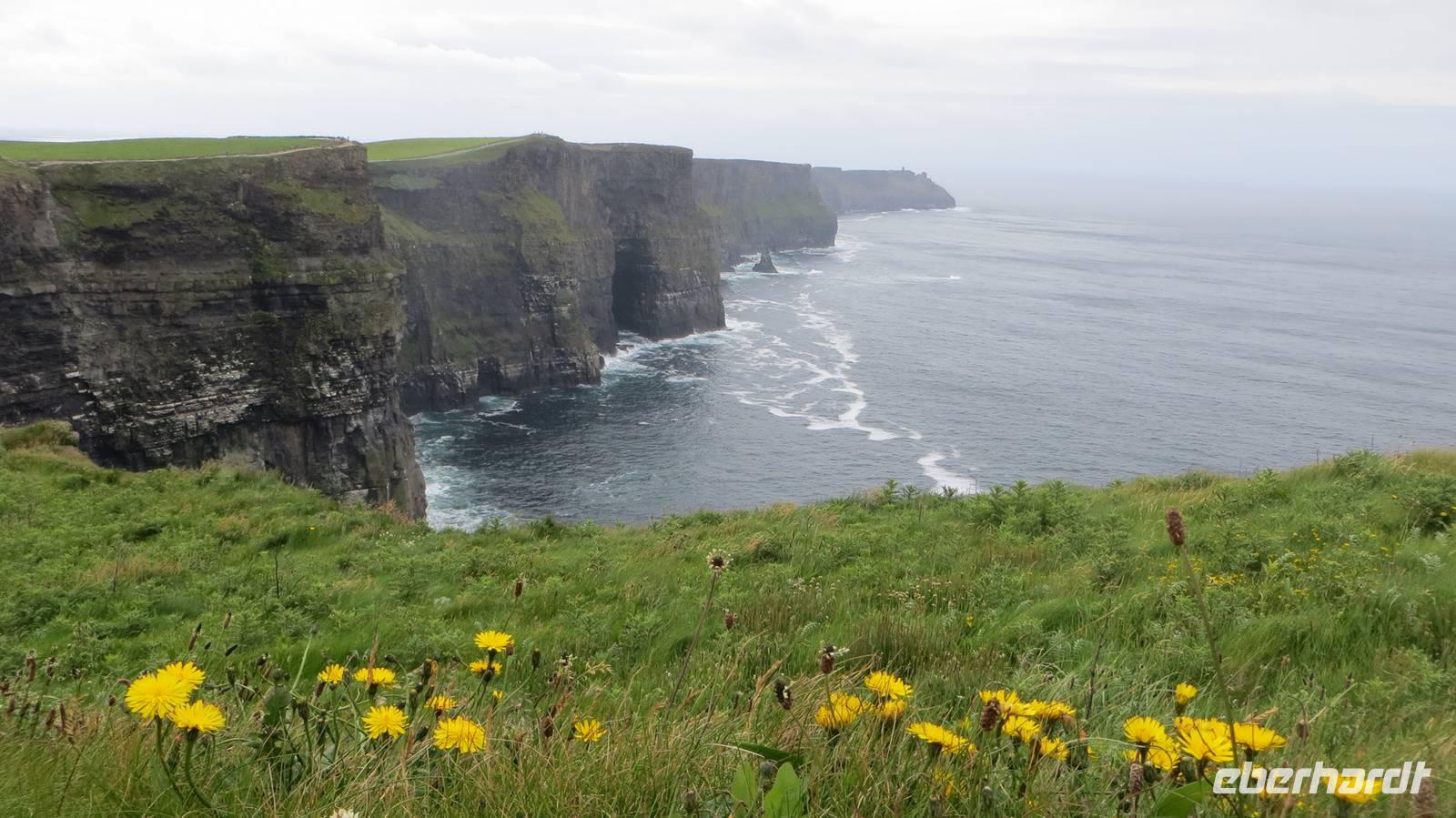 Cliffs of Moher &ndash; &copy; Petra Sauer (Eberhardt TRAVEL)
