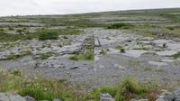 Burren &ndash; &copy; Petra Sauer (Eberhardt TRAVEL)