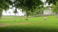 Cashel &ndash; &copy; Petra Sauer (Eberhardt TRAVEL)