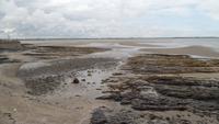 Ebbe &ndash; &copy; Petra Sauer (Eberhardt TRAVEL)