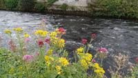 Galway &ndash; &copy; Petra Sauer (Eberhardt TRAVEL)