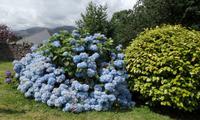 Sneem &ndash; &copy; Petra Sauer (Eberhardt TRAVEL)