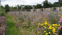 Dublin Phoenix Park &ndash; &copy; Petra Sauer (Eberhardt TRAVEL)
