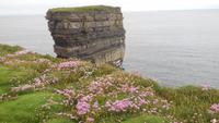 wild- schöne Landschaft am Downpatrck-Head &ndash; &copy; Adelheid Fritzsche (Eberhardt TRAVEL)