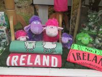 Irland erwartet uns