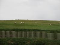 Irland  &ndash; &copy; Petra Sauer (Eberhardt TRAVEL)
