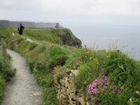 Cliffs of Moher &ndash; &copy; Petra Sauer (Eberhardt TRAVEL)