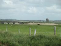 Irland  &ndash; &copy; Petra Sauer (Eberhardt TRAVEL)