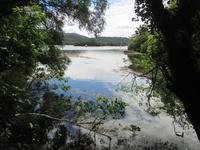Glengarriff &ndash; &copy; Petra Sauer (Eberhardt TRAVEL)