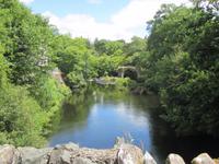 Glengarriff &ndash; &copy; Petra Sauer (Eberhardt TRAVEL)