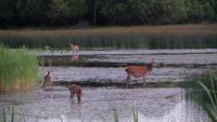 Im See &ndash; &copy; Petra Sauer (Eberhardt TRAVEL)