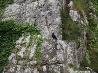 Rock of Cashel &ndash; &copy; Constanze Hölig (Eberhardt TRAVEL)