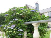 Castletownberehaven &ndash; &copy; Constanze Hölig (Eberhardt TRAVEL)
