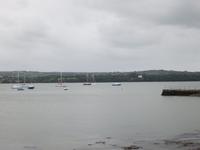 Shannon &ndash; &copy; Constanze Hölig (Eberhardt TRAVEL)