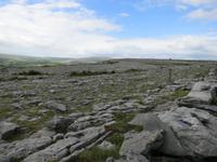 Burren Nationalpark &ndash; &copy; Constanze Hölig (Eberhardt TRAVEL)