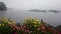 Glengariff, Blick zu Garinished island &ndash; &copy; Katrin Kerpa (Eberhardt TRAVEL)