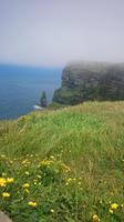 Cliffs of Moher 4 &ndash; &copy; Katrin Kerpa (Eberhardt TRAVEL)
