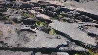 Burren &ndash; &copy; Katrin Kerpa (Eberhardt TRAVEL)