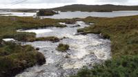 Connemara &ndash; &copy; Petra Sauer (Eberhardt TRAVEL)