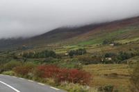 Ring of Kerry &ndash; &copy; Petra Sauer (Eberhardt TRAVEL)