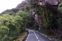 Ring of Kerry &ndash; &copy; Petra Sauer (Eberhardt TRAVEL)
