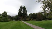 Muckross Park &ndash; &copy; Petra Sauer (Eberhardt TRAVEL)