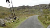 Healy Pass &ndash; &copy; Petra Sauer (Eberhardt TRAVEL)