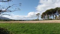 Muckross Farm &ndash; &copy; Petra Sauer (Eberhardt TRAVEL)