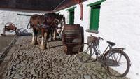Muckross Farm &ndash; &copy; Petra Sauer (Eberhardt TRAVEL)