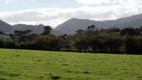 Muckross Farm &ndash; &copy; Petra Sauer (Eberhardt TRAVEL)