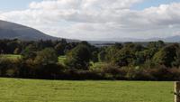 Muckross Park &ndash; &copy; Petra Sauer (Eberhardt TRAVEL)
