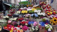 Dublin &ndash; &copy; Petra Sauer (Eberhardt TRAVEL)