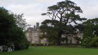 Muckross Park &ndash; &copy; Petra Sauer (Eberhardt TRAVEL)