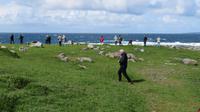Burren &ndash; &copy; Petra Sauer (Eberhardt TRAVEL)