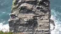 Cliffs of Moher &ndash; &copy; Petra Sauer (Eberhardt TRAVEL)