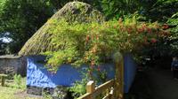 Bunratty Folk Park &ndash; &copy; Petra Sauer (Eberhardt TRAVEL)