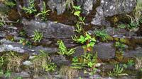 Ring of Beara &ndash; &copy; Petra Sauer (Eberhardt TRAVEL)