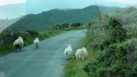 Ring of Beara &ndash; &copy; Petra Sauer (Eberhardt TRAVEL)