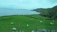 Ring of Beara &ndash; &copy; Petra Sauer (Eberhardt TRAVEL)