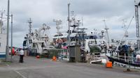 Castletown Bere &ndash; &copy; Petra Sauer (Eberhardt TRAVEL)