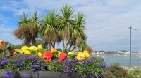 Dungarvan &ndash; &copy; Petra Sauer (Eberhardt TRAVEL)