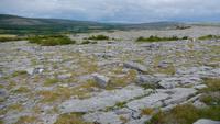 Burren &ndash; &copy; Petra Sauer (Eberhardt TRAVEL)