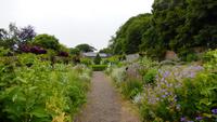 Bunratty