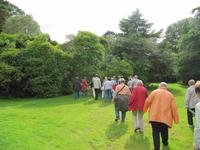 Muckross Park &ndash; &copy; Petra Sauer (Eberhardt TRAVEL)