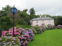 Glengarriff &ndash; &copy; Petra Sauer (Eberhardt TRAVEL)